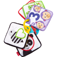 Fisher Price Educatieve kaarten 1 5 leerspel GFX90
