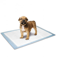 Flamingo Puppytrainingsdoekjes 60 x 40 cm