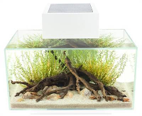 Fluval Edge Aquarium Edge Kit Wit #95;_43x26x36,8 Cm