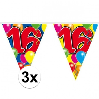 Leeftijd slinger   3x   16 jaar   10 meter   versiering vlaggenlijn / vlaggetjes