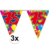 Leeftijd vlaggenlijn 75 jaar   3x   10 meter   plastic   75e verjaardag slinger   vlaggetjes