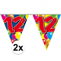 Folat Verjaardagsfeest vlaggen   2x   12 jaar   Leeftijd vlaggenlijn   kunststof   10 meter