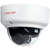 Foscam D2EP beveiligingscamera