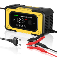 FOXSUR 12V 6A Acculader Auto Stoppen bij Volledig Opladen Over Spanningsbeveiliging voor Auto Motorfiets