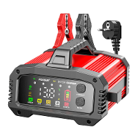 FOXSUR Draagbare 12V 24V Loodzuur Lithium IJzer Batterijen Auto Schip Motorfiets Oplader 25A Hoge Kracht Groot Scherm Kl