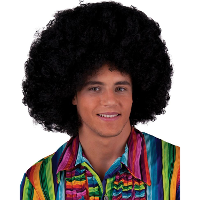 Afropruik   zwart   volwassenen   afropruik   verkleedpruik   seventies