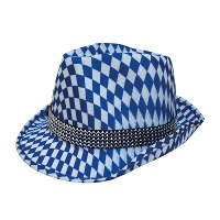 Blauw/wit Beieren hoedje voor volwassenen   Oktoberfest/bierfeest feesthoeden   Alpenhoedje