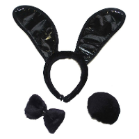 Bunny verkleed setje   zwart   3 delig   dames   konijnen accessoires   bunnysetje