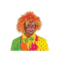 Carnaval Clownspruik   Neon kleuren   volwassenen   warrige haren