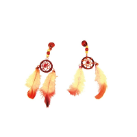 Carnaval verkleed accessoires Indianen oorbellen   dromenvangers   kind/volwassenen