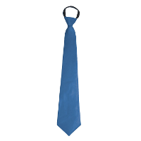 Carnaval verkleed accessoires stropdas   blauw   polyester   heren/dames