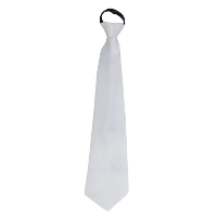 Carnaval verkleed accessoires stropdas   wit   polyester   heren/dames