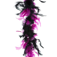 Carnaval verkleed boa met veren   zwart/roze   200 cm   45 gram   Glitter and Glamour