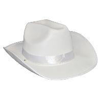 Carnaval verkleed cowboy hoed Toppers   wit   volwassenen   polyester