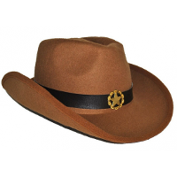 Funny Fashion Carnaval verkleed cowboy hoed voor volwassenen   bruin   vilt