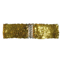 Carnaval verkleed dames riem   goud pailletten   108 x 8 cm   kunststof   glitter