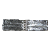 Carnaval verkleed dames riem   zilver pailletten   108 x 8 cm   kunststof   glitter
