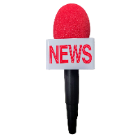 Carnaval verkleed namaak microfoon   kunststof   25 cm   reporter/presentator