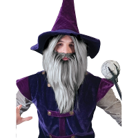 Carnaval verkleed set Tovenaar   grijze pruik met baard   heren   Halloween