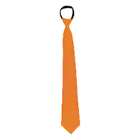Carnaval verkleed stropdas   neon oranje   volwassene   verkleedthema