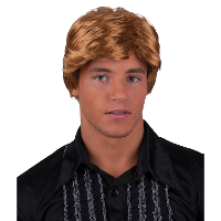 Carnaval verkleedpruik heren Coole surf boy/Kakker Ken   kort haar   bruin