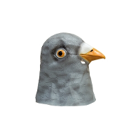 Dierenmasker duif vogel   latex   volwassenen   hoofdmasker