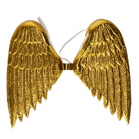 Engelen verkleed vleugels   goud   voor volwassenen   Carnavalskleding/accessoires