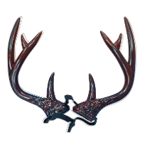 Hert/rendier gewei   verkleed diadeem   bruin   volwassenen   verkleedaccessoires