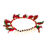 Indiaan verkleed ketting   rood/groen   tanden en veren   Indianen accessoires