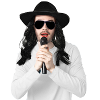 Michael Jackson verkleedpruik met hoed   herenpruik   zwart   zigeuner