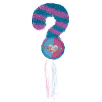 Pinata van papier   Gender reveal boy/girl thema   34 x 10 x 51 cm   Feestartikelen verjaardag