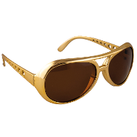 Verkleed bril Elvis   goud   volwassenen   king of rock'n roll   accessoire