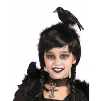 Verkleed diadeem met zwarte kraai   17 cm   Halloween verkleed accessoires   heks