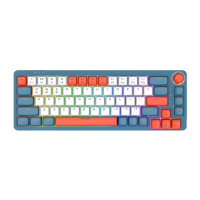 GAMAKAY LK67 Mechanisch toetsenbord 67 toetsen RGB Gateron schakelaar Hot swappable 65% programmeerbare drievoudige modu