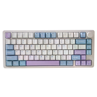 Gamakay TK75 PRO 75% CNC Aluminium Legering Mechanisch Toetsenbord 81 toetsen Tri Mode RGB Gasket Mount 4000mAh Cherry P