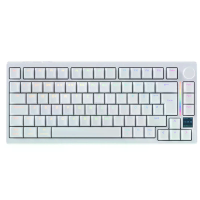 GAMAKAY TK75 TMR Magneetische Schakelaar Mechanische Toetsenbord 81 toetsen Drie modus Warm swappable RGB achtergrondver
