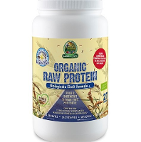 Garden of Life Organic Raw Protein Vanilla Chai