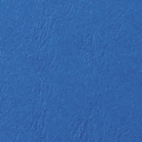 Gbc Gbc Proview Karton Lederlook Met Generfde Structuur, A4, 250g/mâ², Blauw/ce040020 Inh. 100 Ce040020