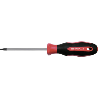 Gedore RED R38401319 TX schroevendraaier Grootte T 20 Koplengte: 100 mm 1 stuk(s)