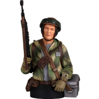 Star Wars: Endor Trooper Mini Bust