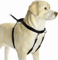 Control Leader L (Boxer) voor de hond Per stuk