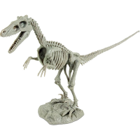 Dino Excavation Kit   Velociraptor Skeleton