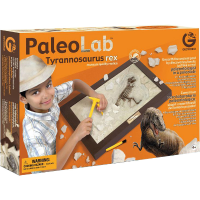 Paleo Lab   Tyronnosaurus Rex