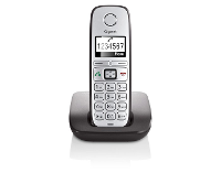 Gigaset E310