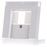 087627   Central cover plate TAE 087627
