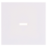GIRA 029003 Controleschakelaar Afdekking System 55, Standaard 55, E2, Event, Event Clear, Event Opaque, Esprit, ClassiX Zuiver wit glanzend 1 stuk(s)
