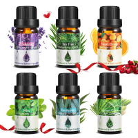 6 Stks/set Schoonheid Gezondheid Lichaam Essentiële Olie Huidverzorging Massage Puur Natuurlijke Biologische Plantaardig