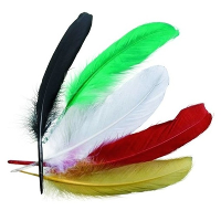 Gekleurde sierveren of indianenveren   16 cm   15x stuks   knutselen