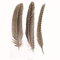 Hobby/knutsel Parelhoen/fazanten sierveren   5x stuks   decoratie materialen