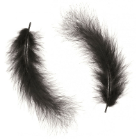 Hobby knutsel veren   15x   zwart   16 cm   sierveren